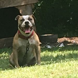 Meet your Posher, Desmond